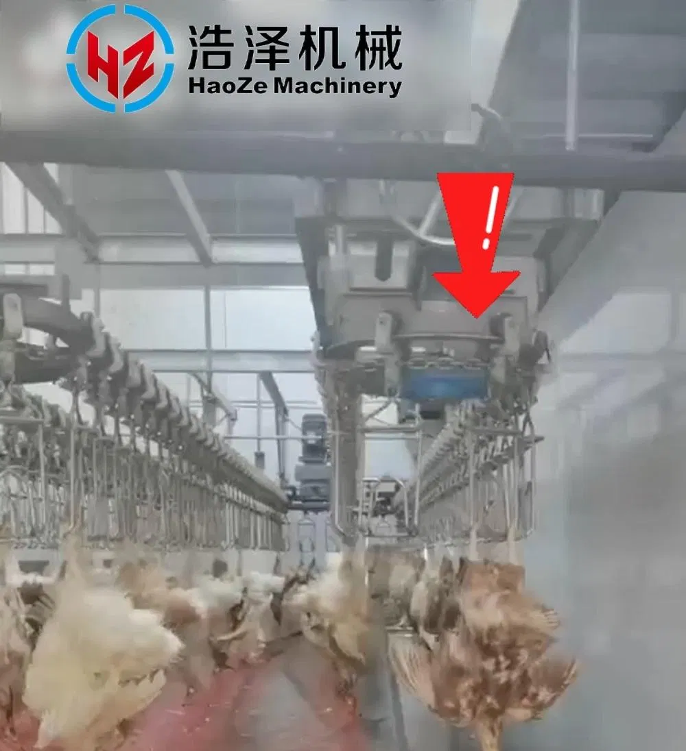 Special Chain Buckle for Poultry Slaughtering Line