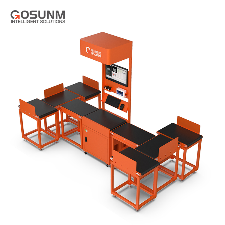 Logistics Automation System for Advanced Dws Sorting and Weighing