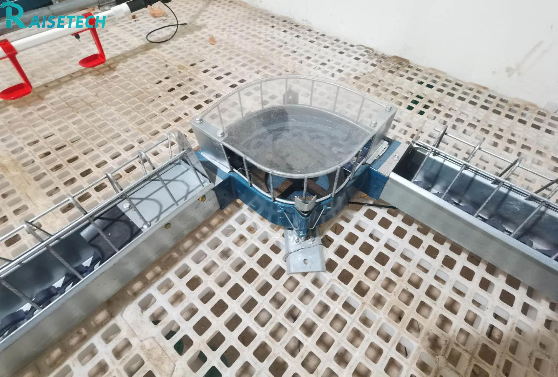 CE Certified Chain Feeding for Breeder Chickens - 24-Month Support