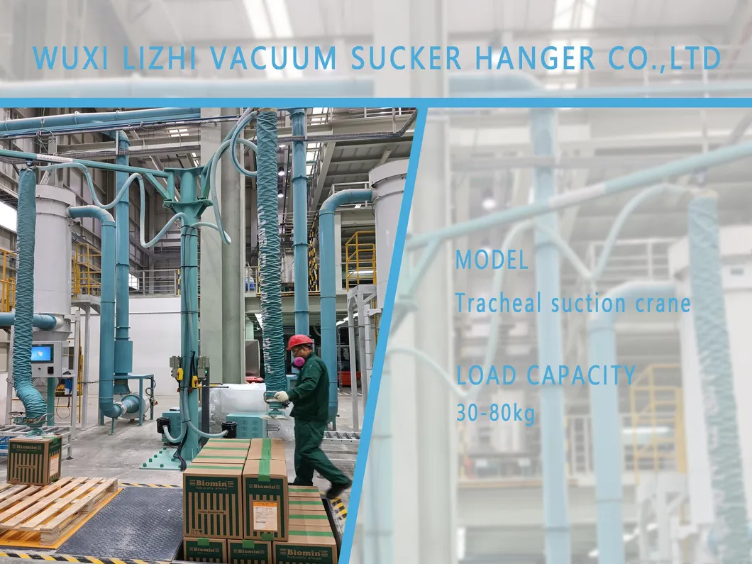 Vacuum Lifter View 1