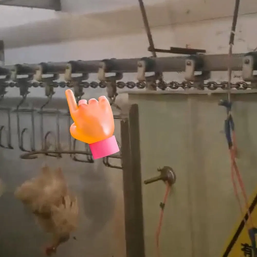 Special Chain Buckle for Poultry Slaughtering Line