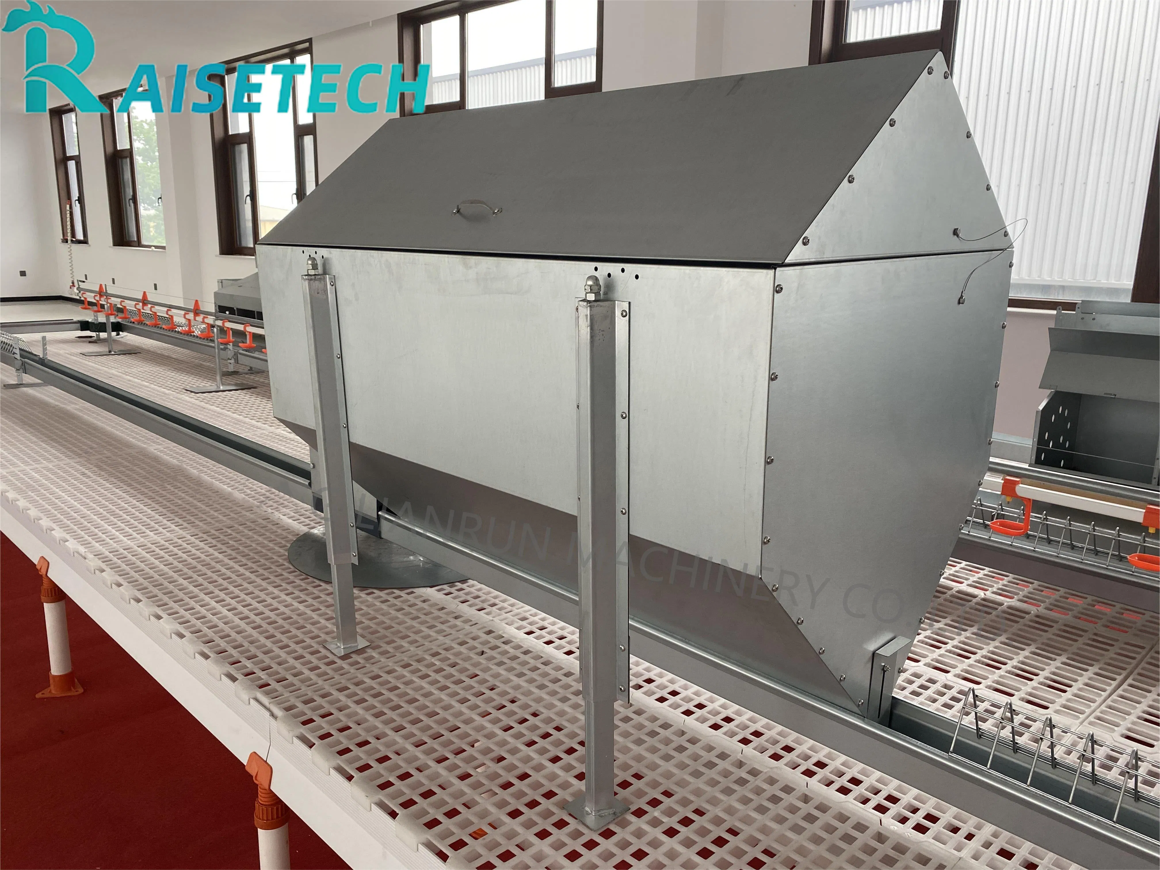 Innovative Chain Feeding for Chicken Breeders - CE Certified, 24 Months