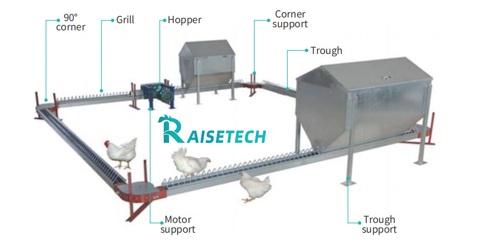 Reliable Chain Feeding for Chicken Breeders - CE/ISO 45001 Certified