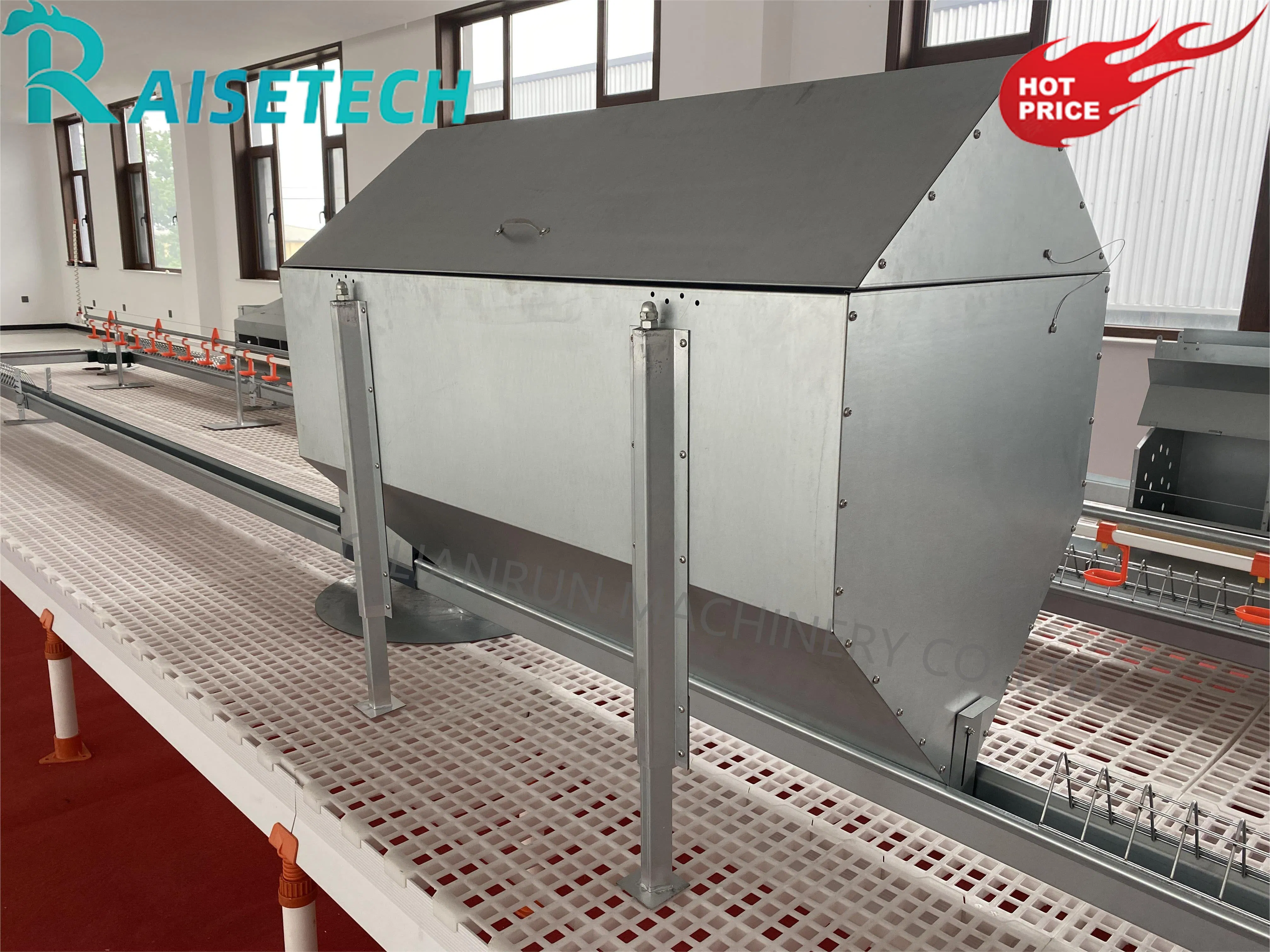 CE Certified Chain Feeding for Chickens with 24-Month After-Sale Support