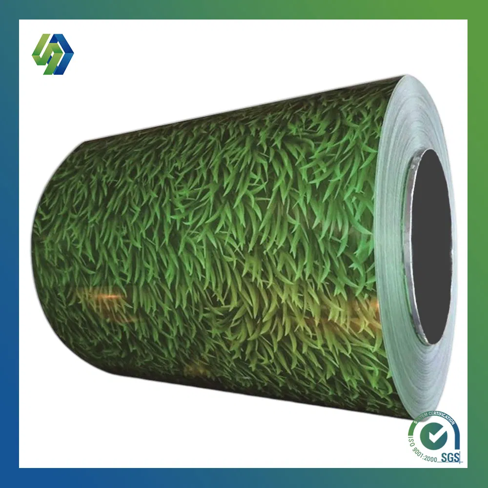 PPGL SPCC-1b Material with Thickness 0 12-3 0mm and Width 20-1500mm