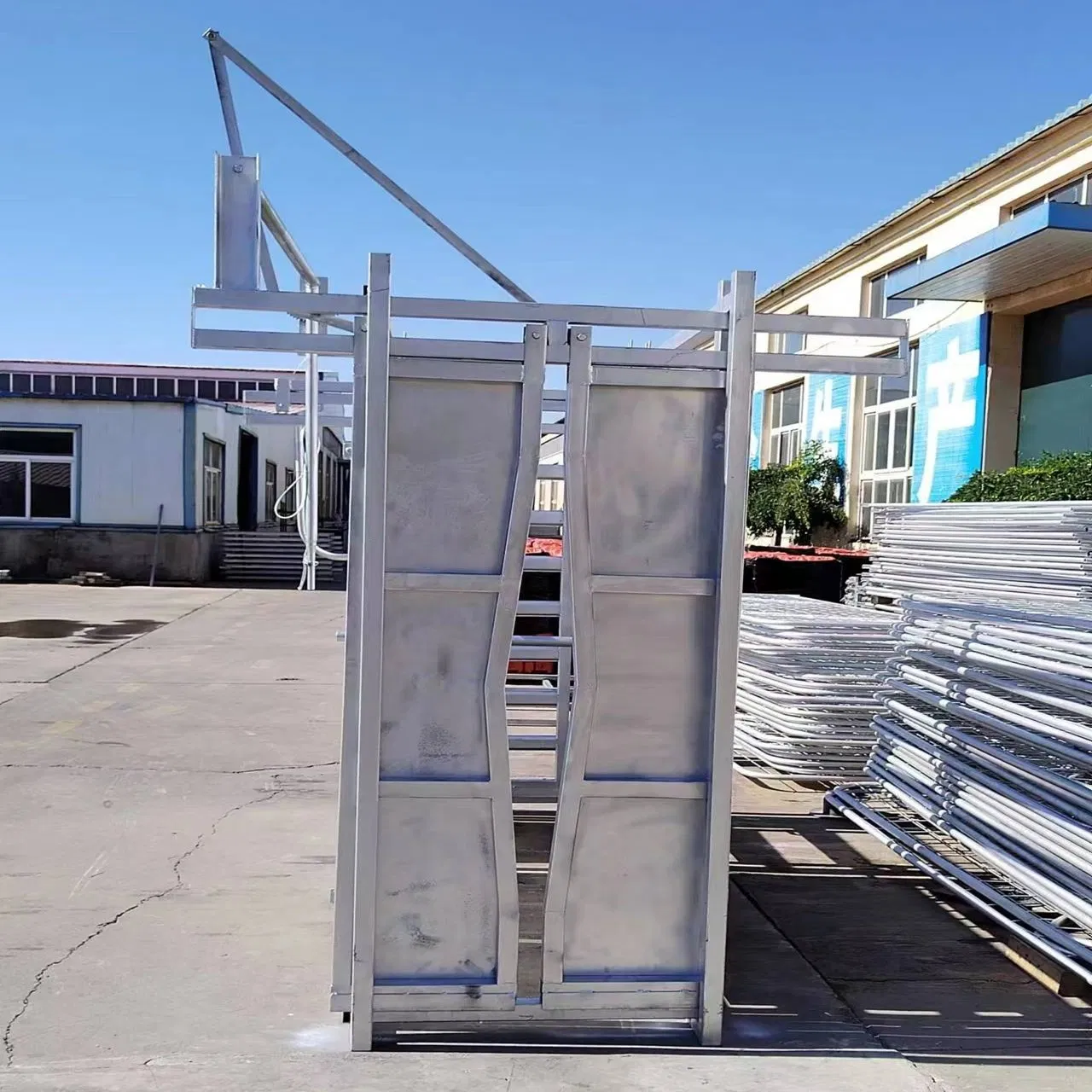 Shengxiang Factory Outlet Hot Selling Good Quality Manual Wrench Cattle Crush Galvanized Cattle Squeeze Crush Cattle Handling Equipment with Weighing System