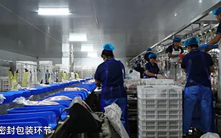 Processing Line 3