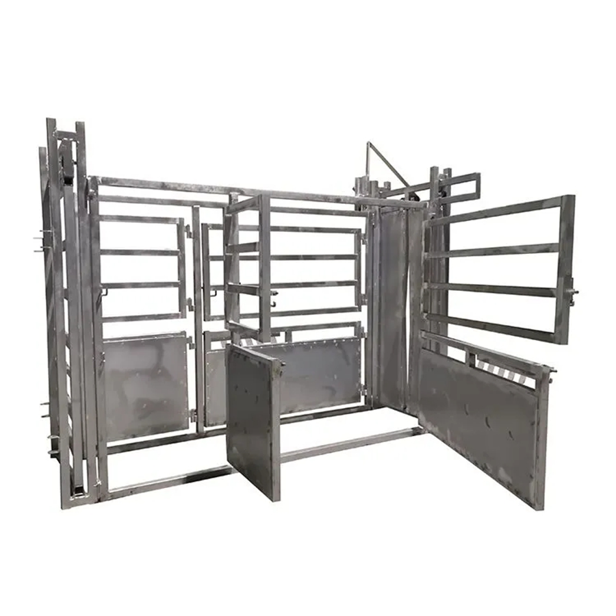 Shengxiang Factory Outlet Hot Selling Good Quality Manual Wrench Cattle Crush Galvanized Cattle Squeeze Crush Cattle Handling Equipment with Weighing System