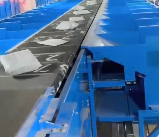 Adjustable Narrow Belt Sorting Machine for Parcel Distribution E Commerce Fulfillment Center Solution
