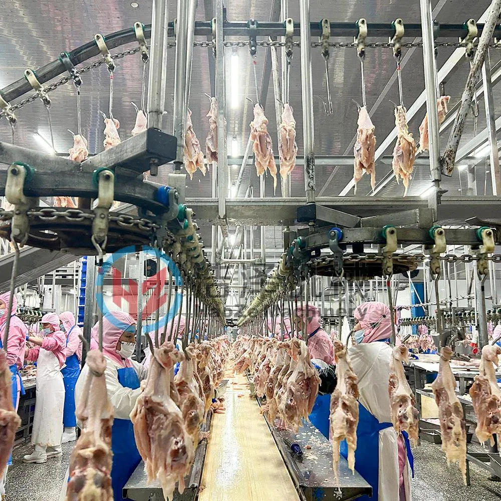 300-500 Per Hour Chicken Slaughtering Equipment for Small Abattoir