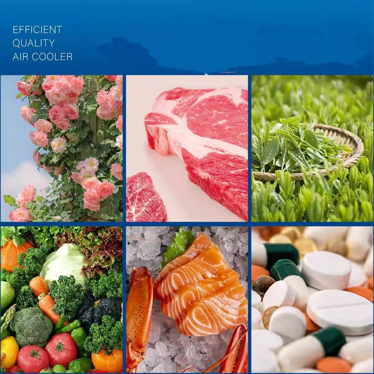 Cold Chain Engineering Self Use Air Cooler Equipment Qt