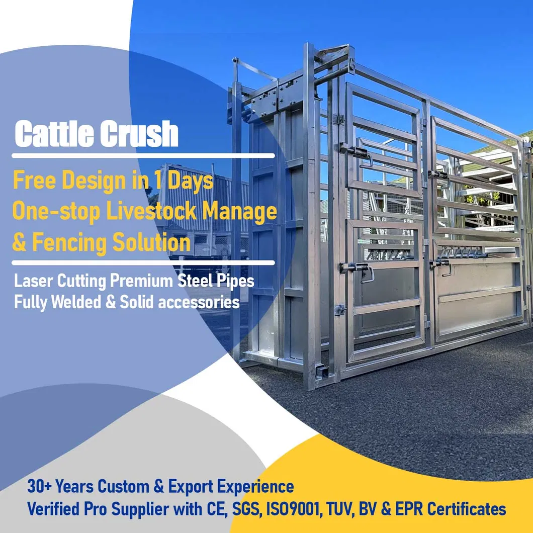 Cattle Crush Handling System