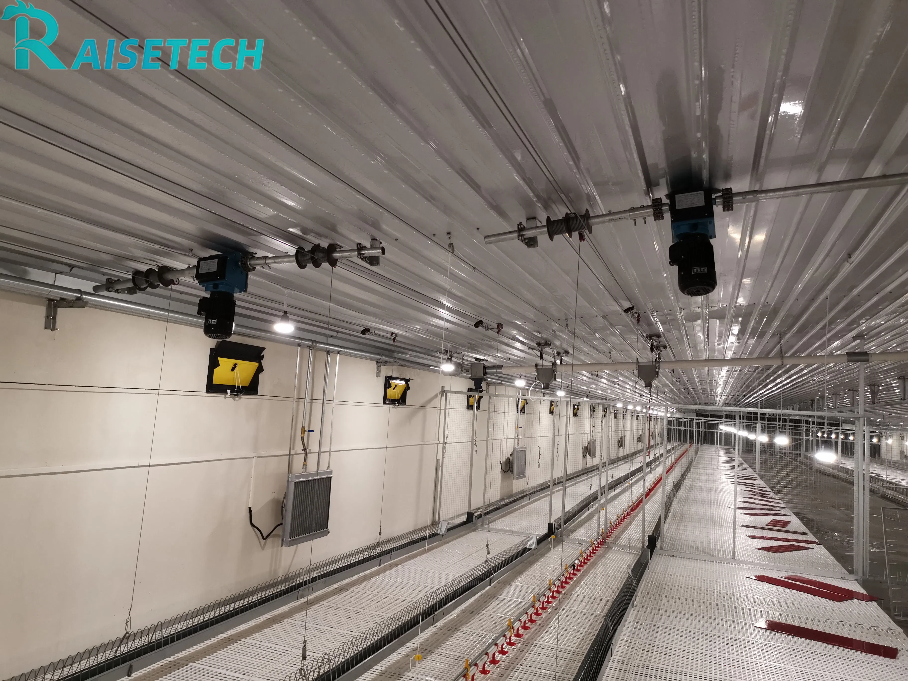 Reliable Chain Feeding for Chicken Breeders - CE/ISO 45001 Certified