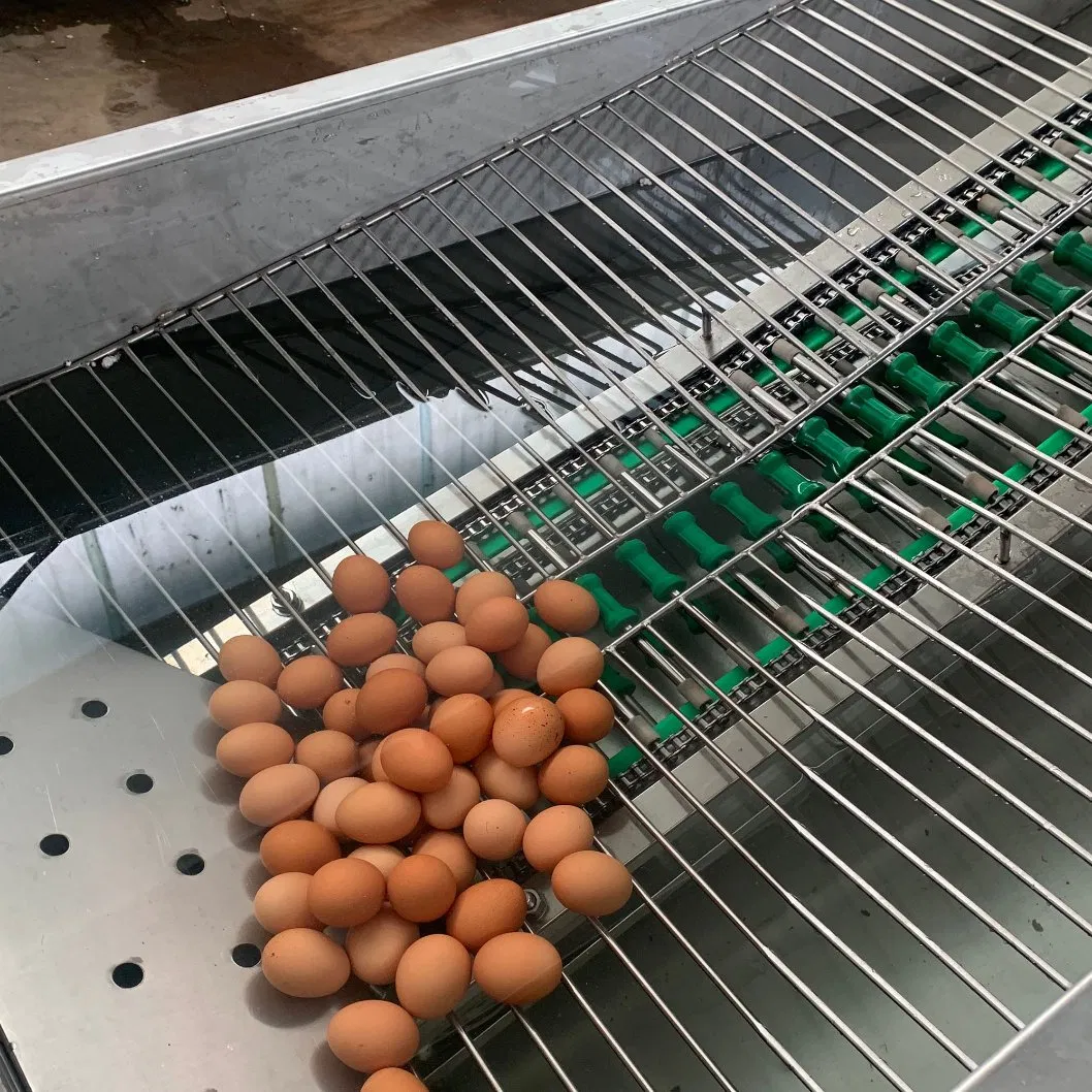 Commercial Egg Washing Machine for Egg Wholesale and Distribution Centers
