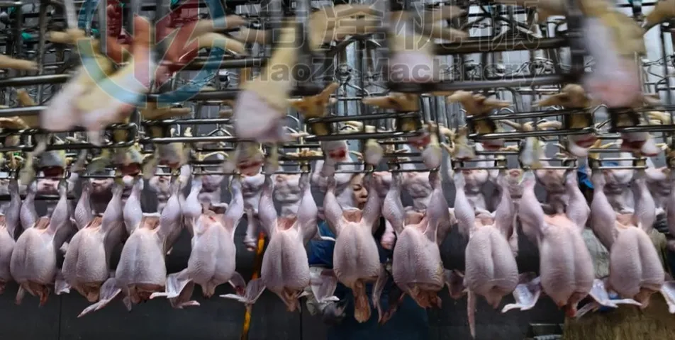 Poultry Slaughtering Equipment