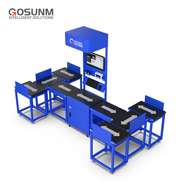 Logistics Automation System for Advanced Dws Sorting and Weighing