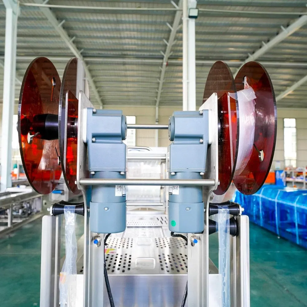 Computer Controlled Sr-420d Servo Thermoform Food Meat Cheese Vacuum Packaging Machine for Cold Chain Distribution Center