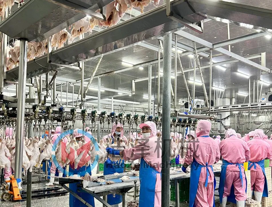 Processing Equipment Detail 1