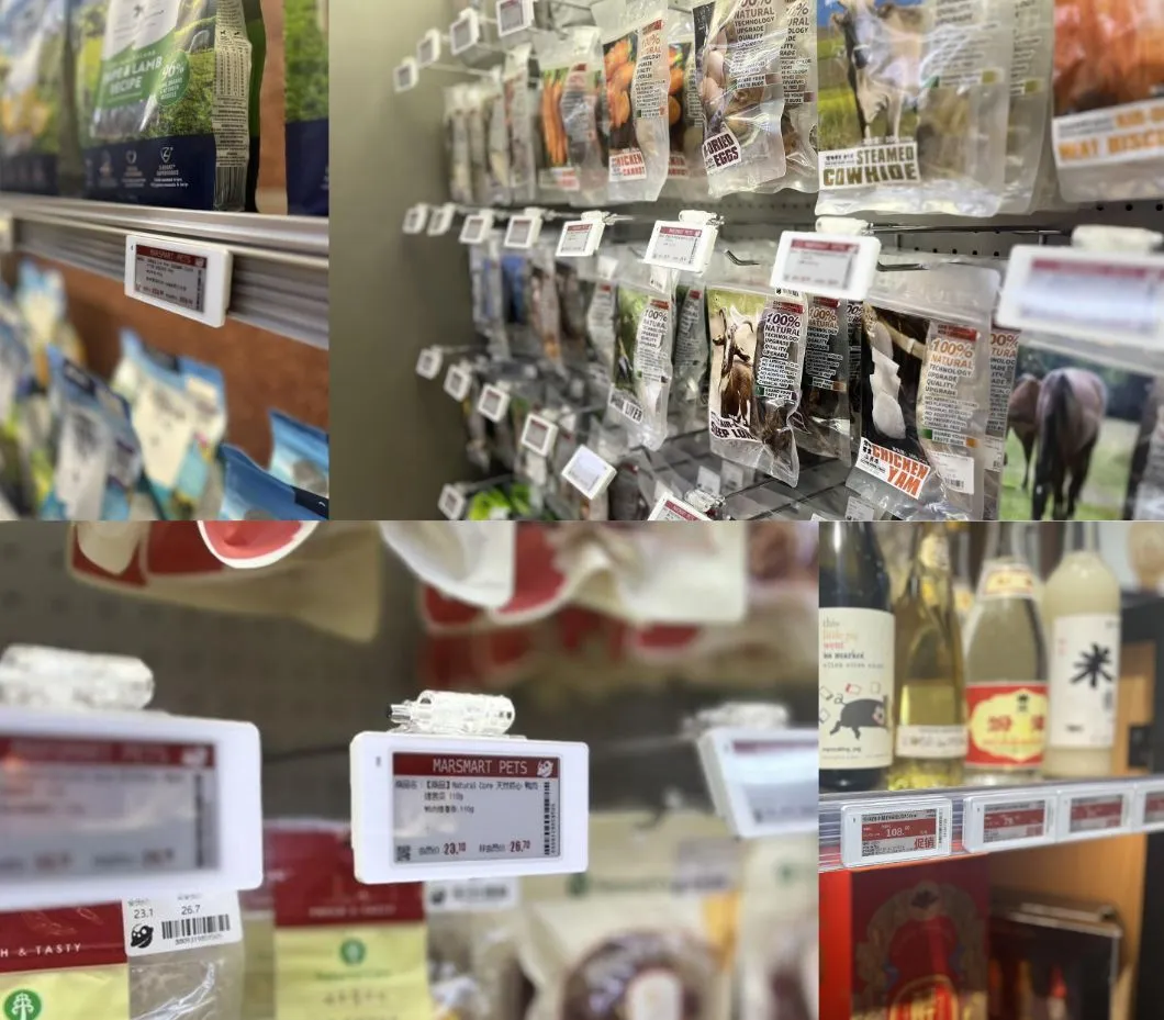 Electronic Shelf Label