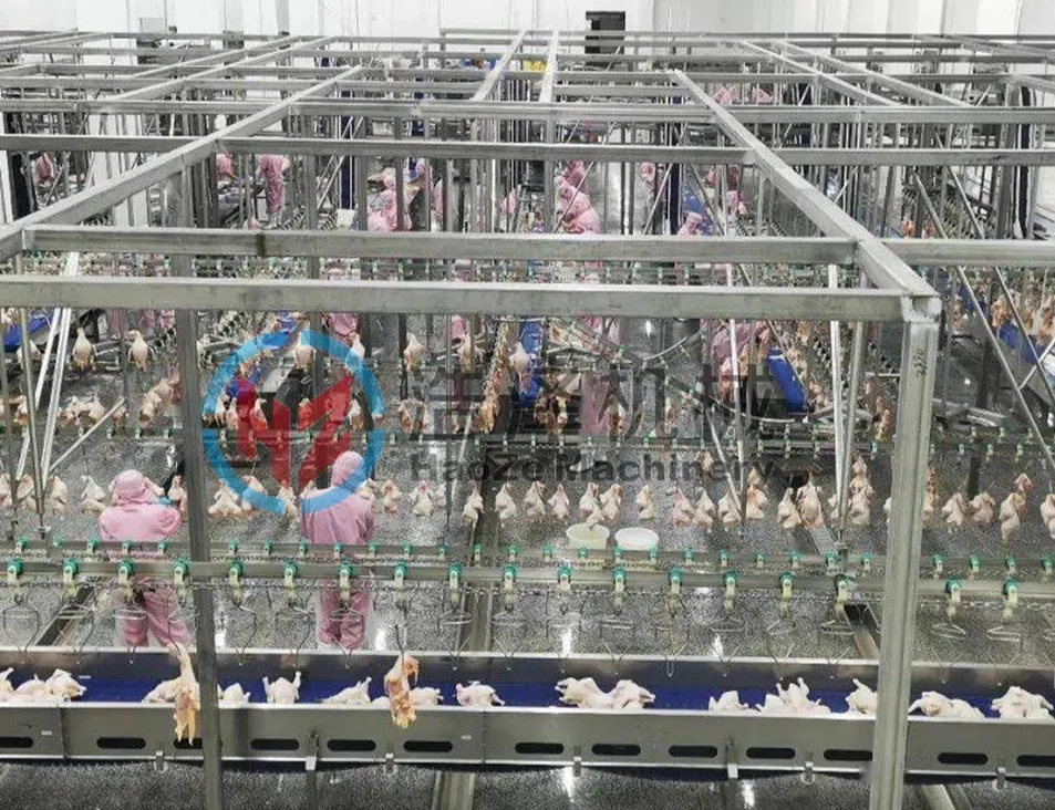 Chicken Slaughtering Equipment Overview