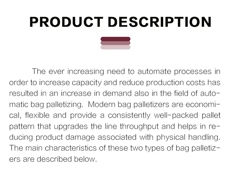 Palletizing System Detail