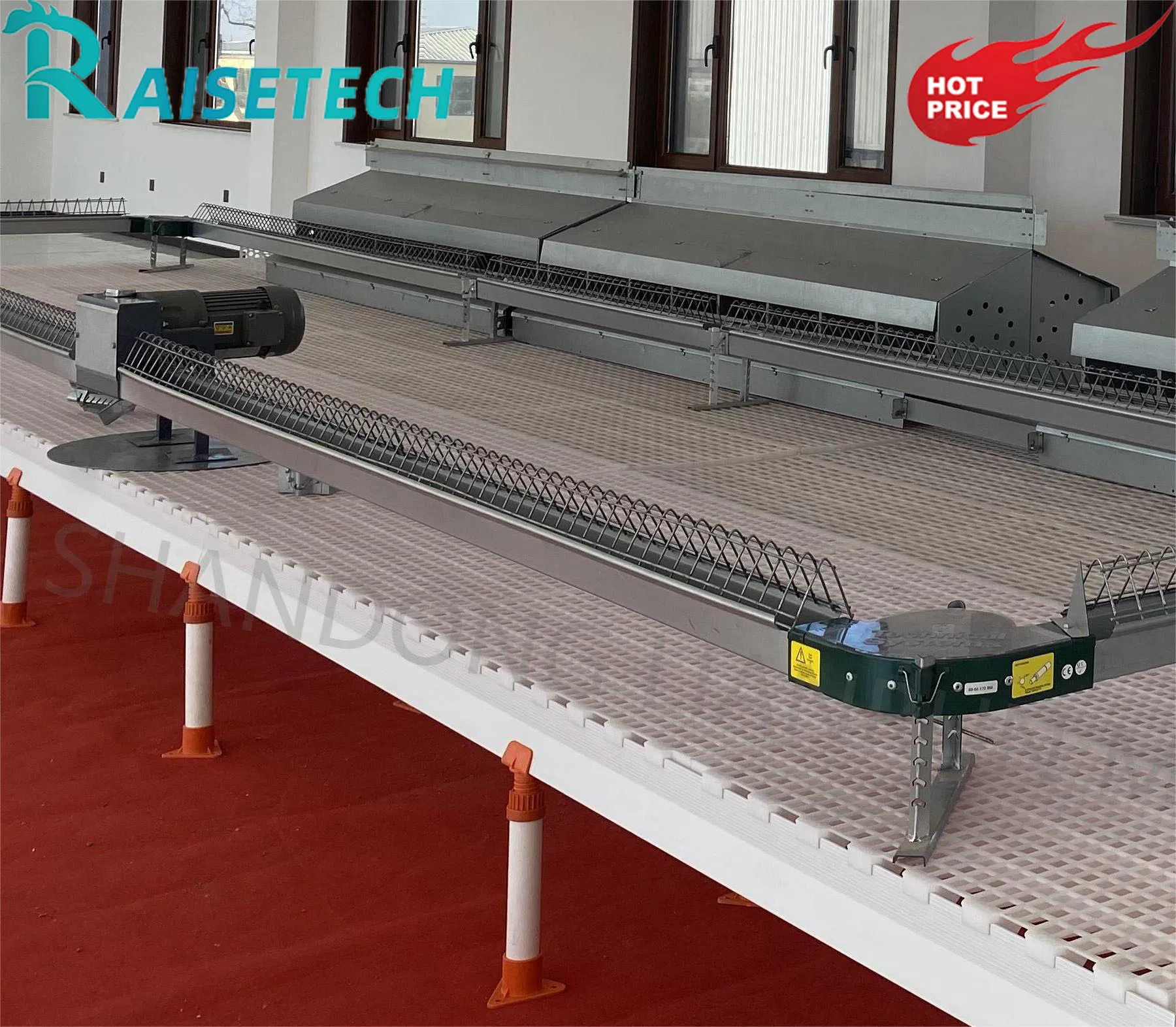 Chain Feeding Technology for Broilers with CE Certification and User Support