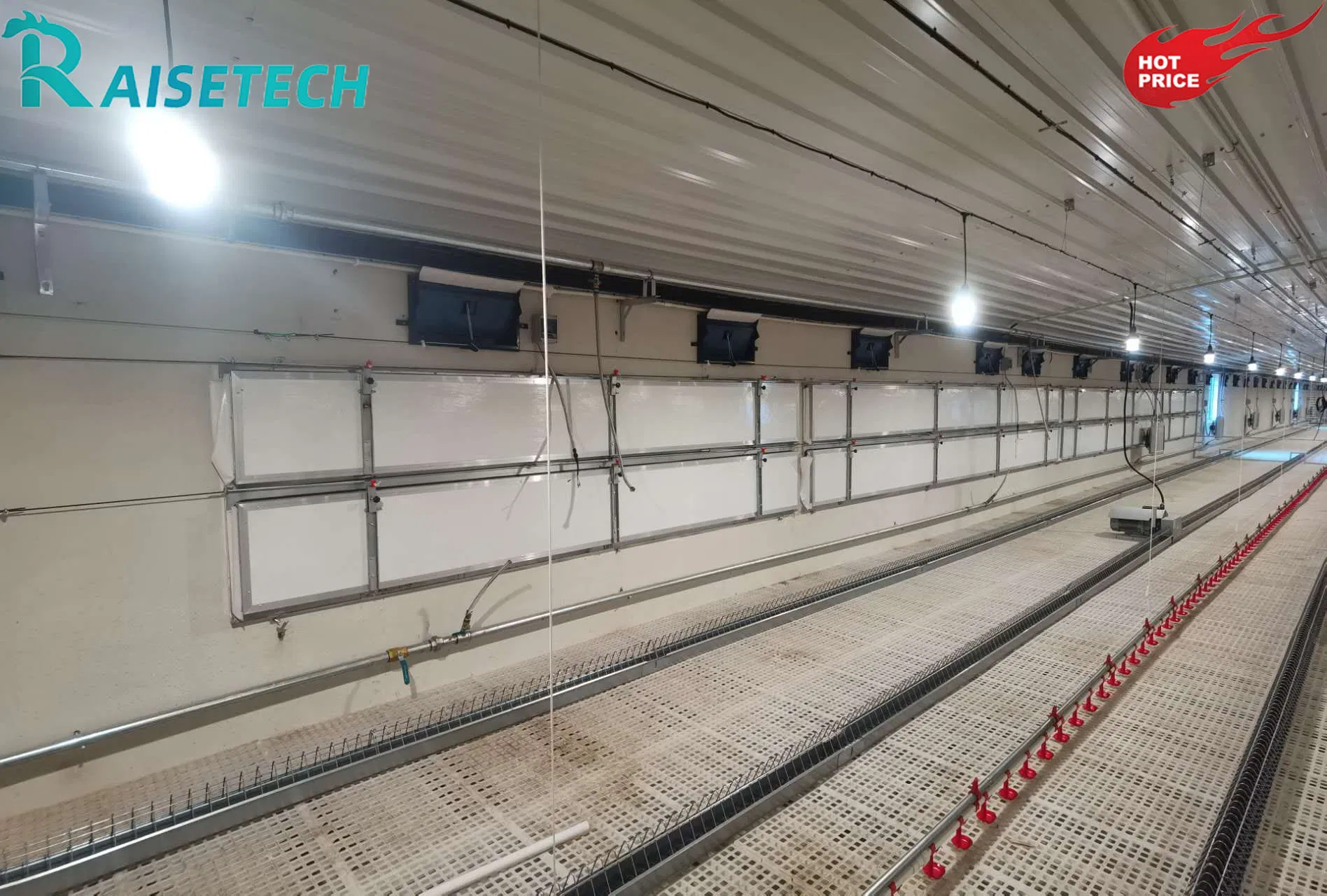 Chain Feeding Technology for Broilers with CE Certification and User Support