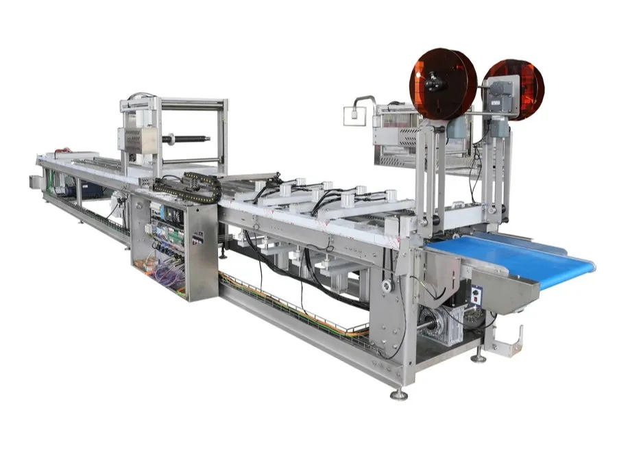 Vacuum Packing Machine