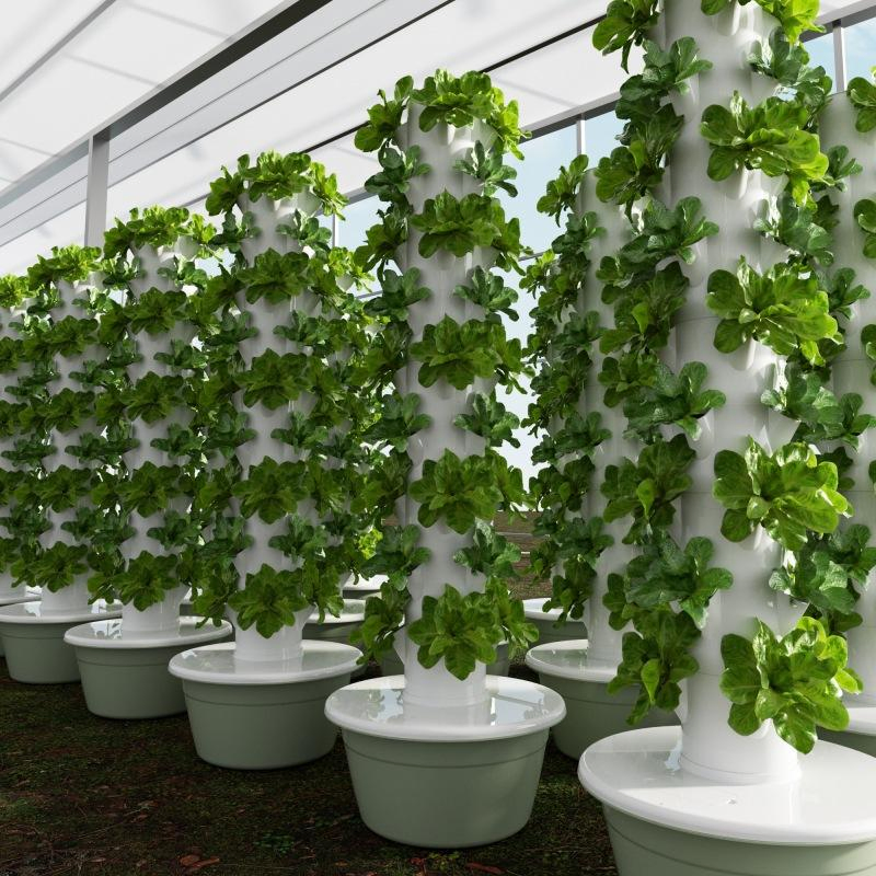 Indoor Hydroponics Vertical Garden System with Aeroponic Garden System