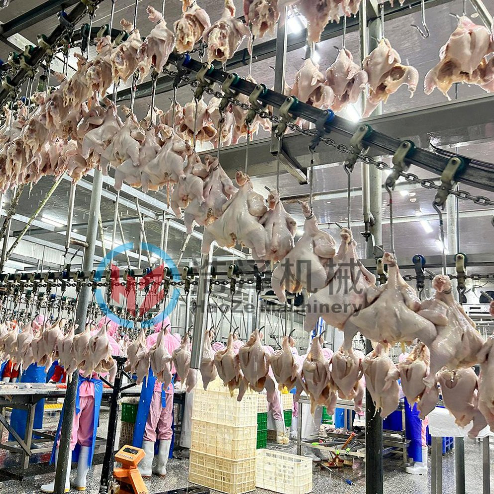 300-500 Per Hour Chicken Slaughtering Equipment for Small Abattoir