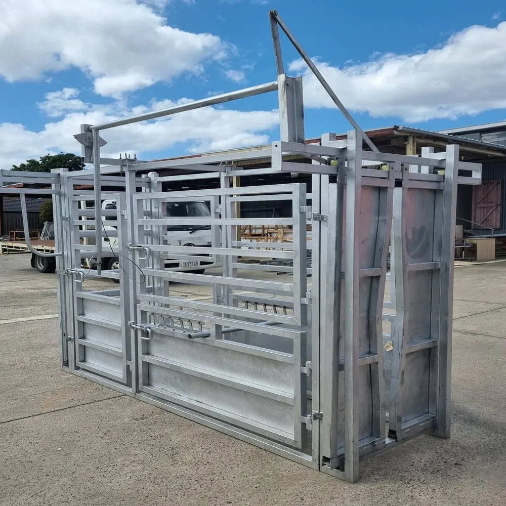 Shengxiang Factory Outlet Hot Selling Good Quality Manual Wrench Cattle Crush Galvanized Cattle Squeeze Crush Cattle Handling Equipment with Weighing System