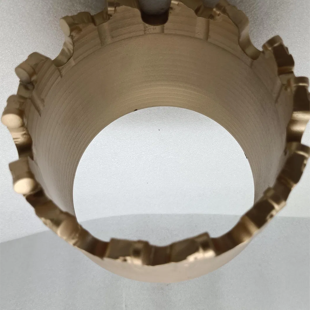 PDC Coring Bit Detail 2