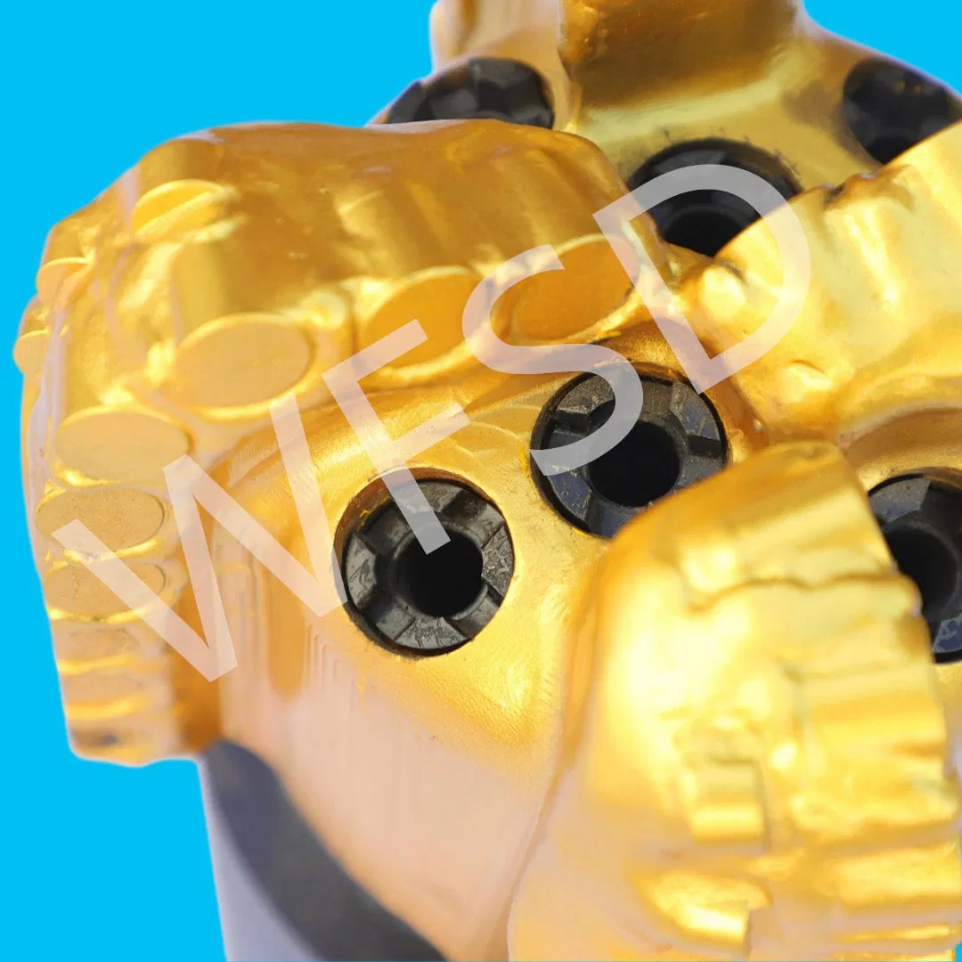 12-1/4" Diamond PDC Drill Bit for Complex Formations