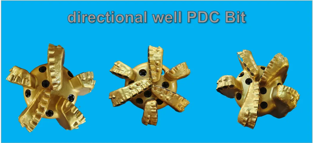 Directional Well Drilling Bit View 1