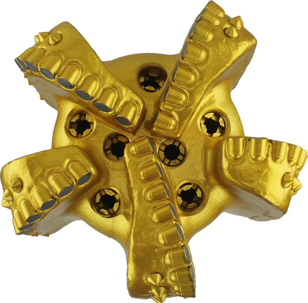 PDC Drill Bit View 1