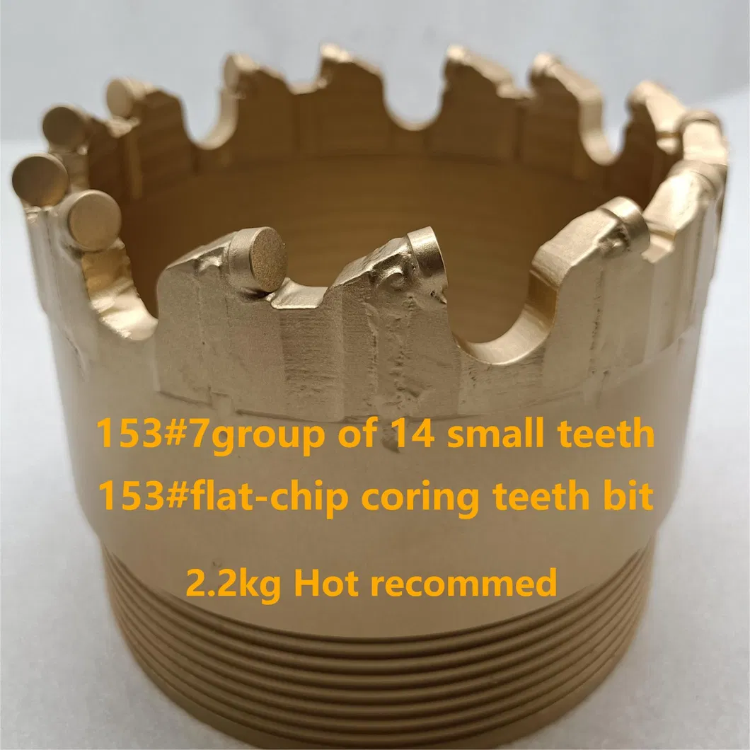 PDC Coring Bit Detail 1