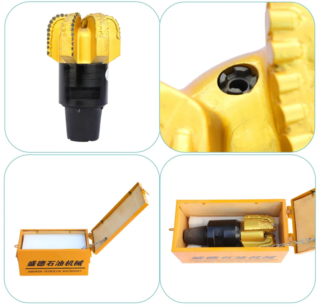 PDC Drill Bit Detail 2