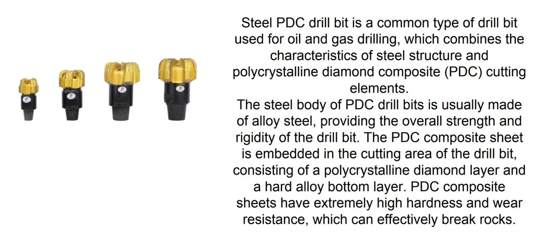 PDC Bit Product View