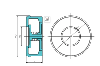 Disc Spring Check Valve