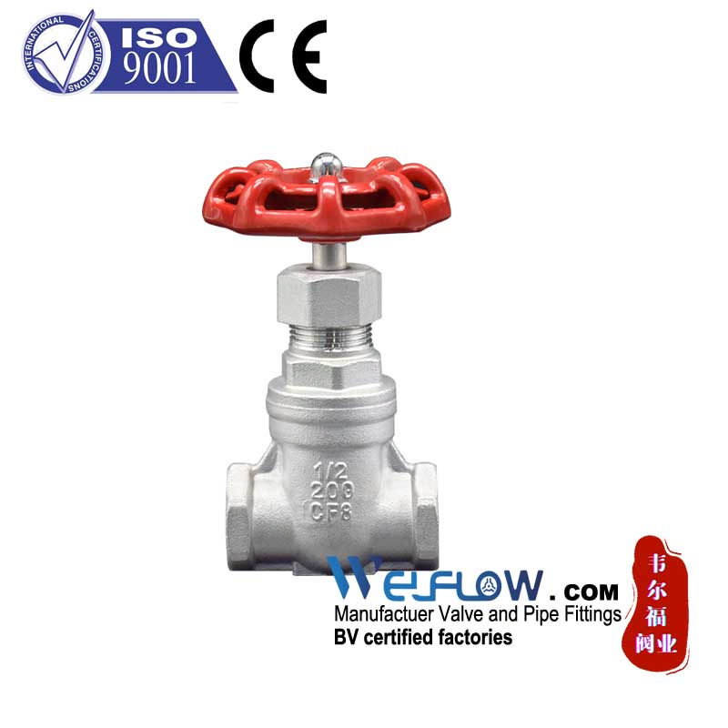 Xxnx SS304 201 Stainless Steel H71W DN65 Pn16 Pn25 3/8 DN15-DN100 Pn25 8 Inch Non Return One Way Disc Wafer Single Plate Flange Spring Check Valve