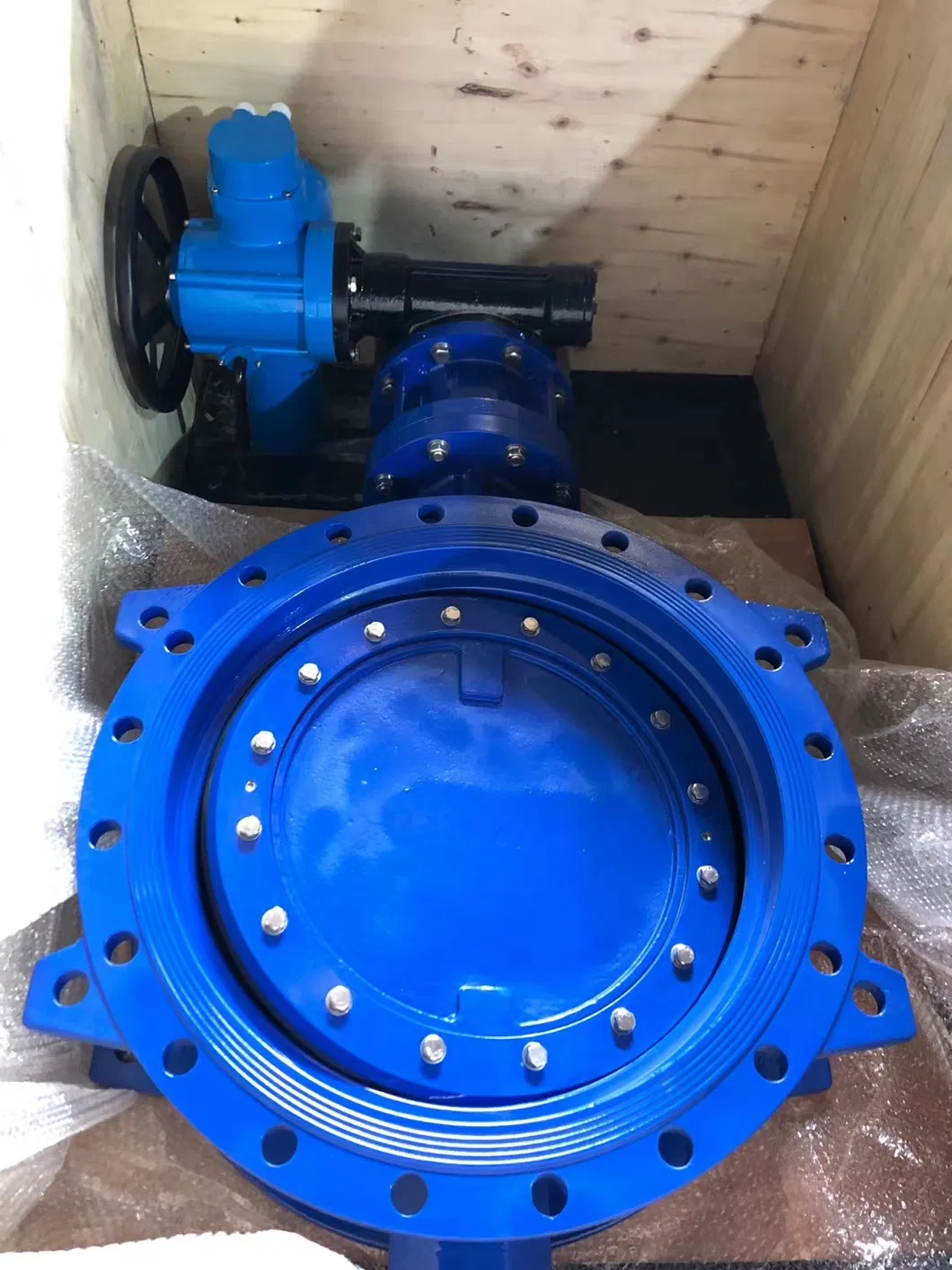 Butterfly Valve 11