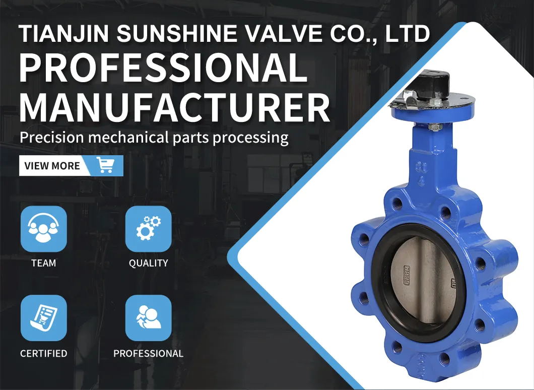 Butterfly Valve Overview