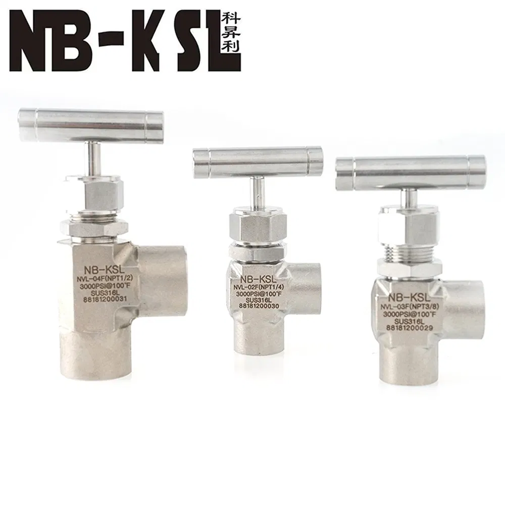 High Strength Stainless Steel High Pressure Female Thread Gas Needle Valve