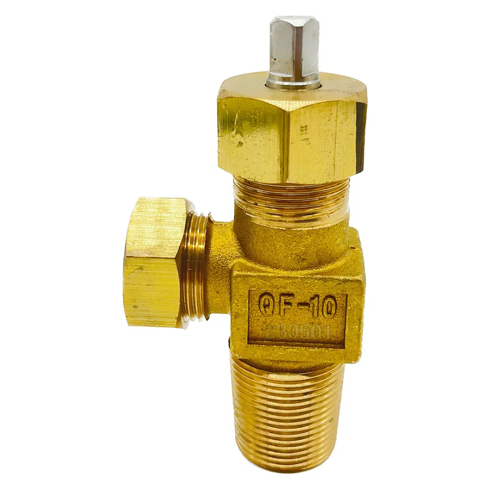 Chlorine Gas Cylinder Valve Qf-10 in Needle Type G3/4 Thread