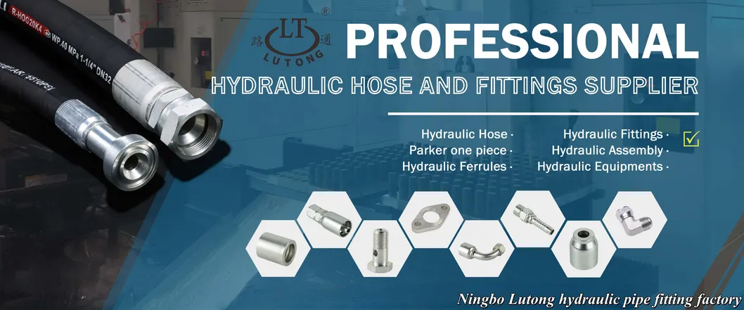 Hydraulic Hose Pipe Connector Fitting