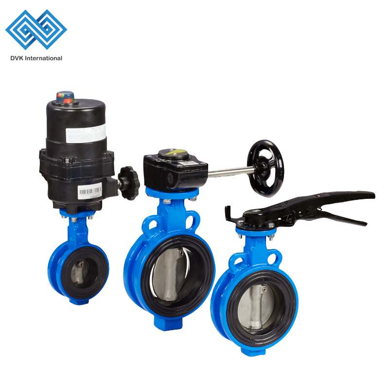 High Performance ODM Flanged/Wafer/Lug Style Pressure Relief Control/Ball/Check/Globe/Gate/Butterfly Industrial Water Valve with Gear/Gearbox/Actuator