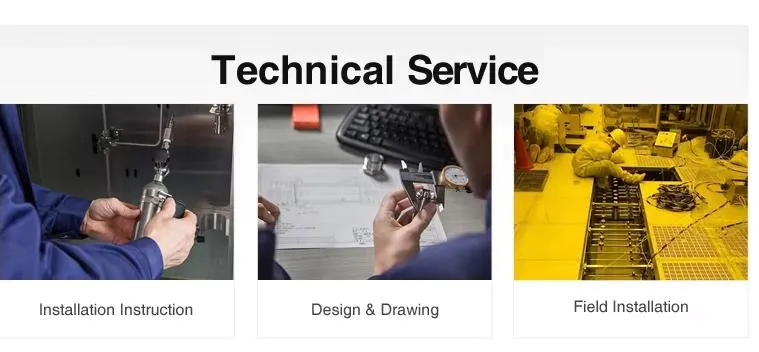 High Pressure Needle Valve 7