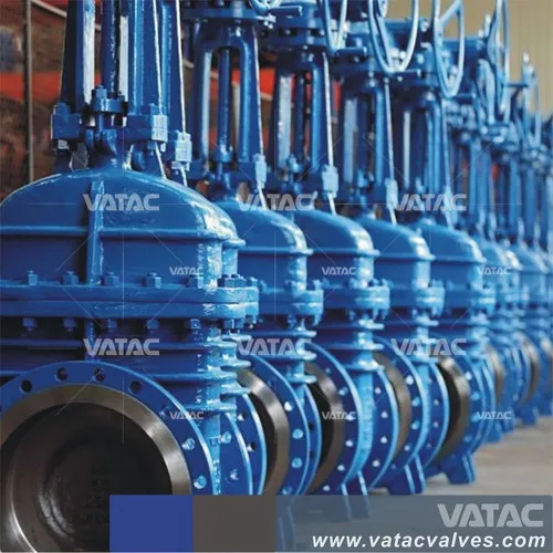 Cast and Forged Gate Valve (Z41H)