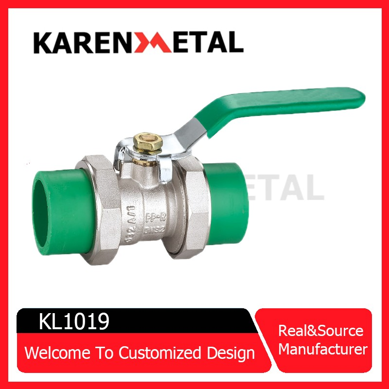 Brass Dzr Bronze Stainless Steel Cast Iron Ball Mini Gas Float Strainer Butterfly/Diaphragm/Control/Butterfly Globe/Penumatic/PVC Valve