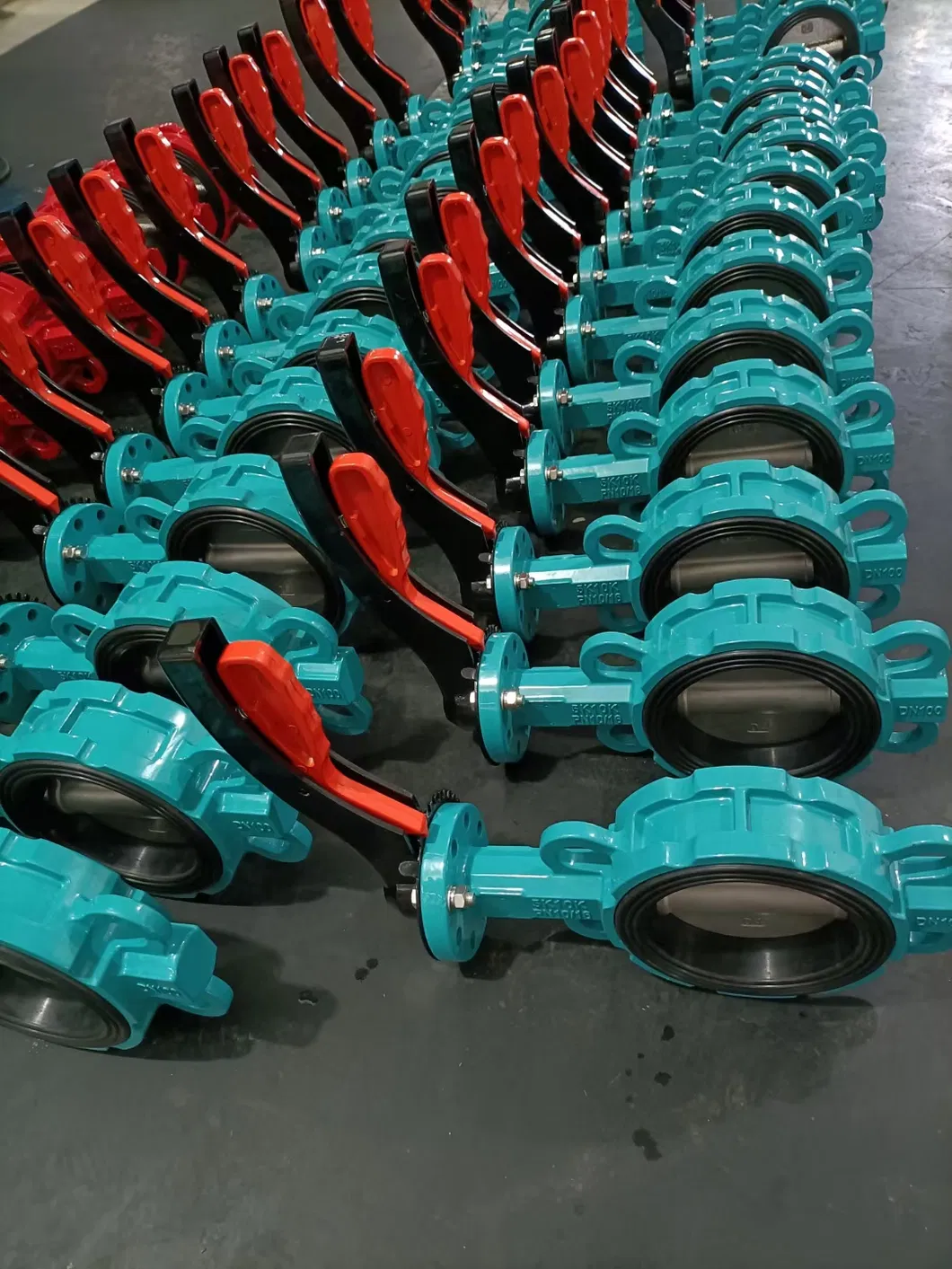 Butterfly Valve 4
